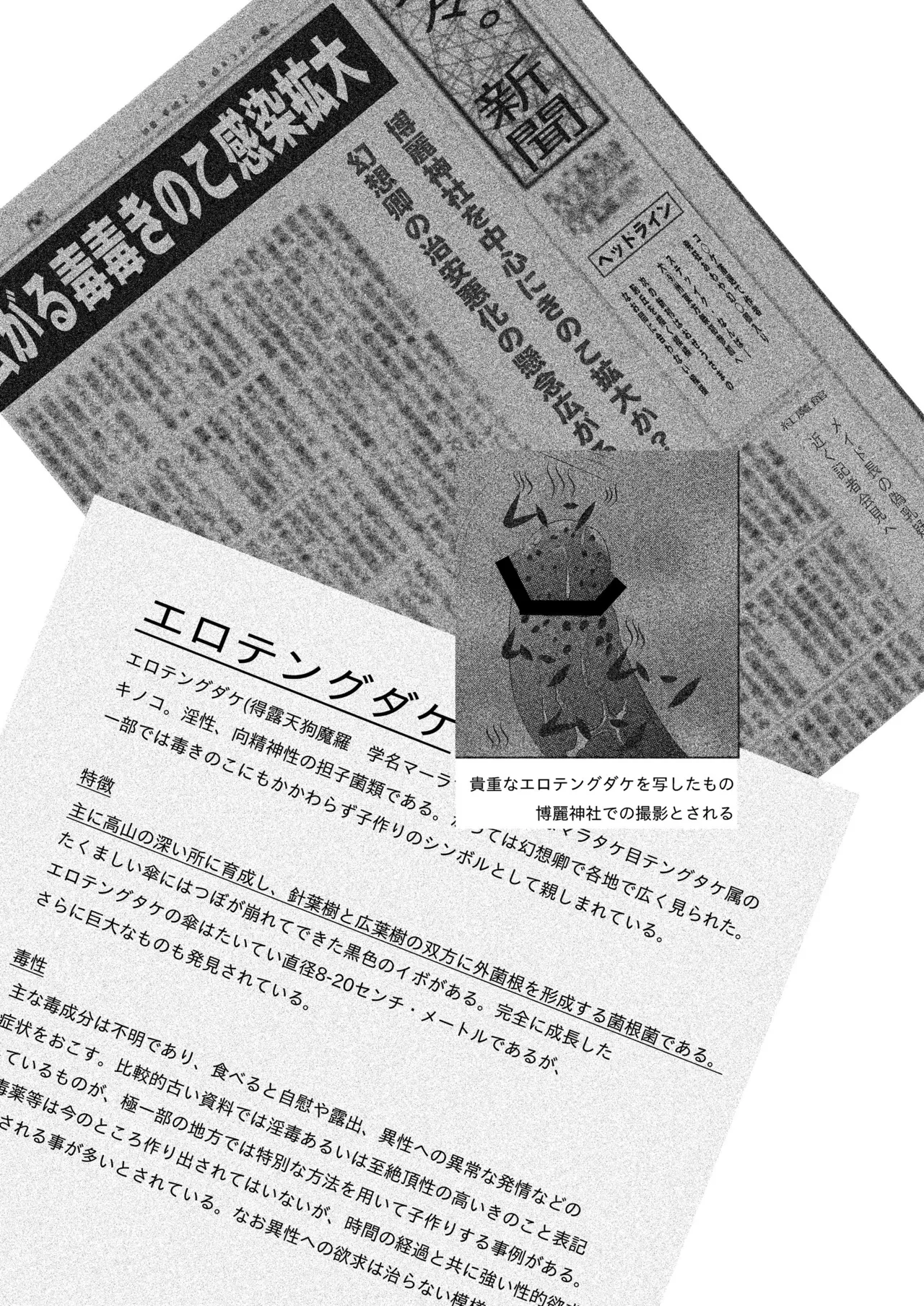 Reimu no Tokutoku Kinoko Go Ranshin page 3 full