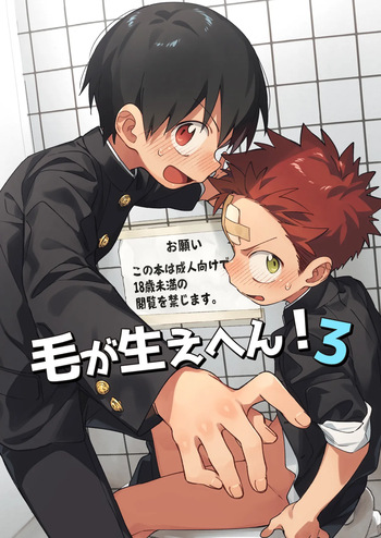 Ke ga Haehen! 3 cover