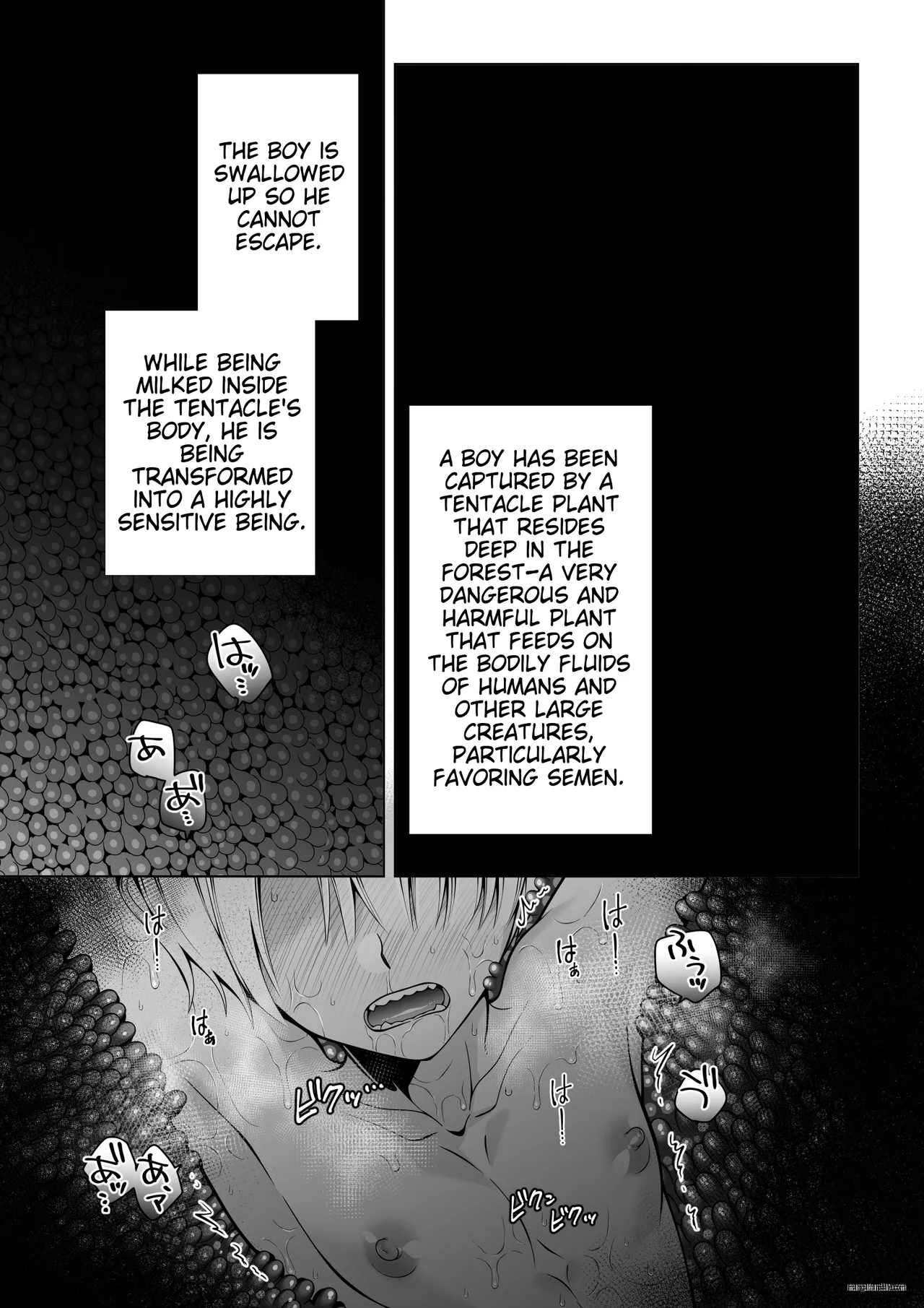 The twin elves' trials - Part II page 5 full