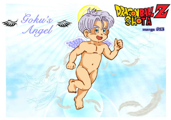 Gokus Angel cover