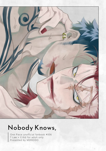 Nobody Knows, cover