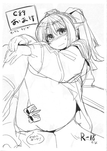 C89おまけ cover