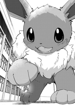 Kou iu Eevee no e tachi