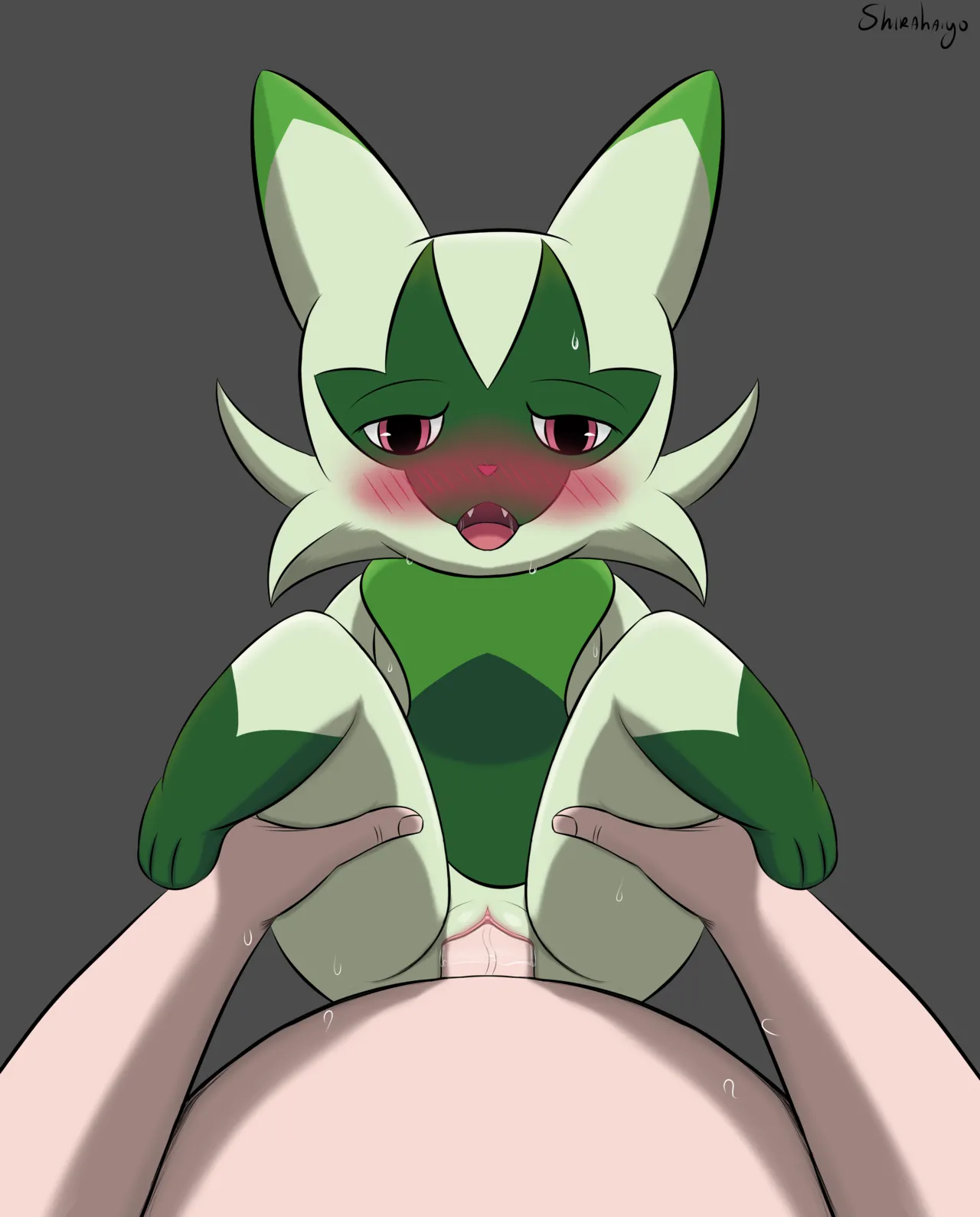 Shirahaiyo page 6 full