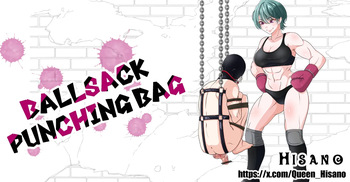 Ballsack Punching Bag cover