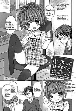 Chicchakutatte Ii ja nai!｜¡Aunque Sea Pequeña no Pasa Nada!, ¿Verdad？