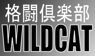 Fighting Club WILDCAT Vol.2 page 1 full