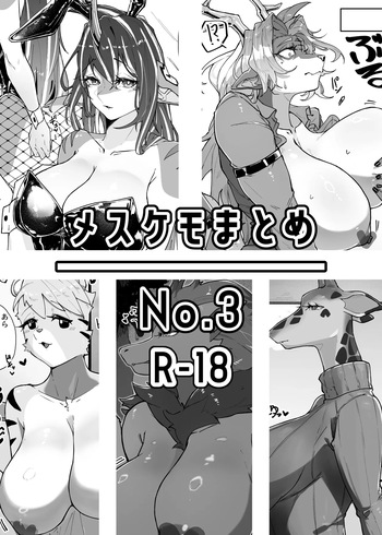 Mesukemo Matome No.3 cover