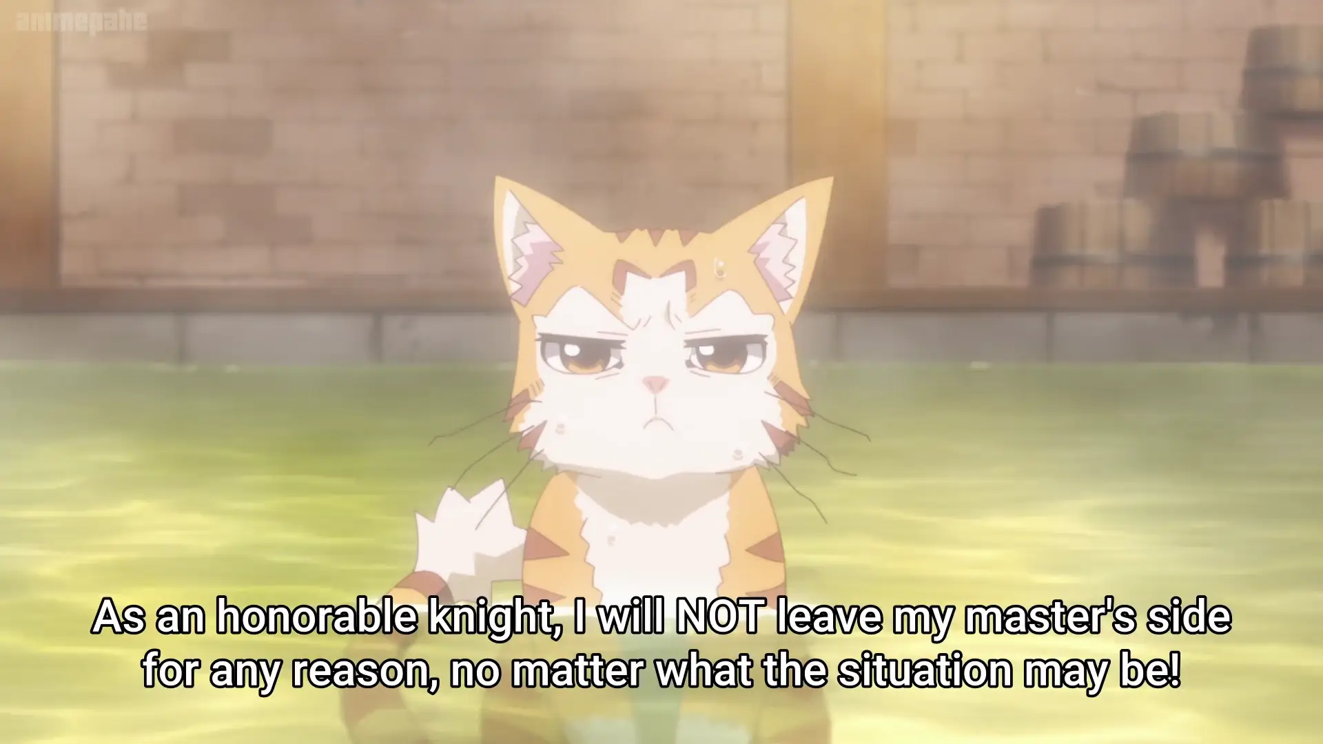 Beheneko The Elf-Girls Cat is Secretly an S-Ranked Animated page 6 full