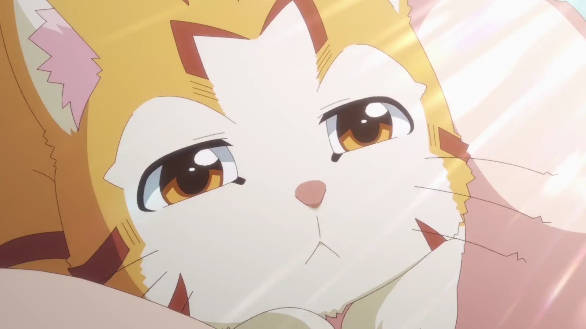 Beheneko The Elf-Girls Cat is Secretly an S-Ranked Animated page 8 full