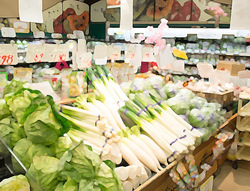 Kokuhaku Game + After