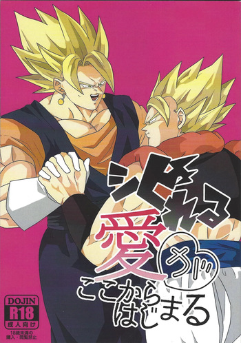 Shibireru ai ga koko kara hajimaru cover