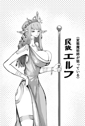 民族エルフ、変態魔術師に狙われる cover