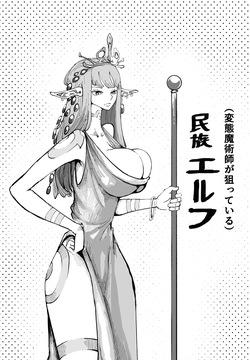 民族エルフ、変態魔術師に狙われる