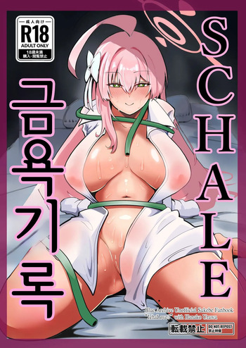 SHALE Kinyoku Kiroku | SCHALE 금욕기록 cover