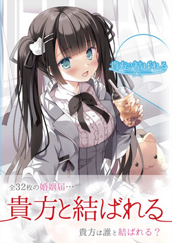 Theme-Wake Gashuu 17 "Anata to Musubareru ~Before Marriage, After Marriage~"