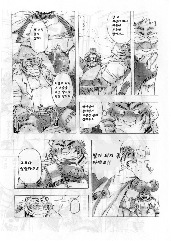 Choujuu Gasshin Build Tiger 2 | 초수합신 빌드 타이거 2 page 5 full