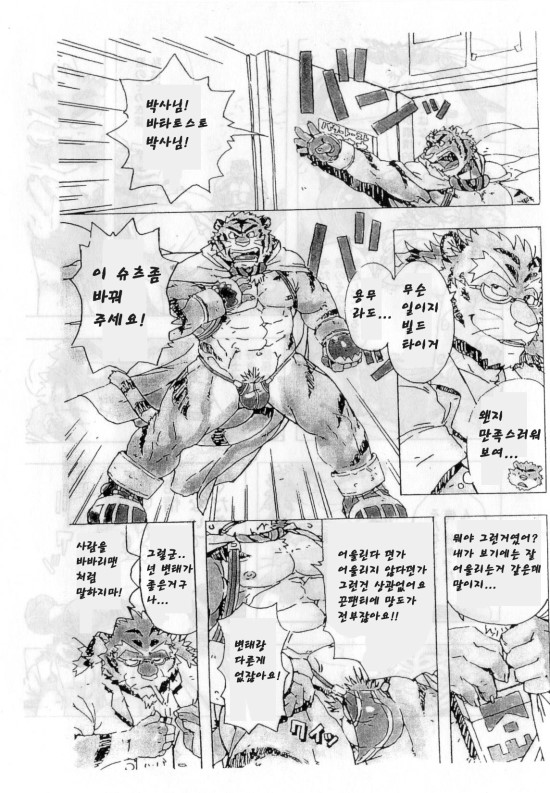 Choujuu Gasshin Build Tiger 2 | 초수합신 빌드 타이거 2 page 6 full