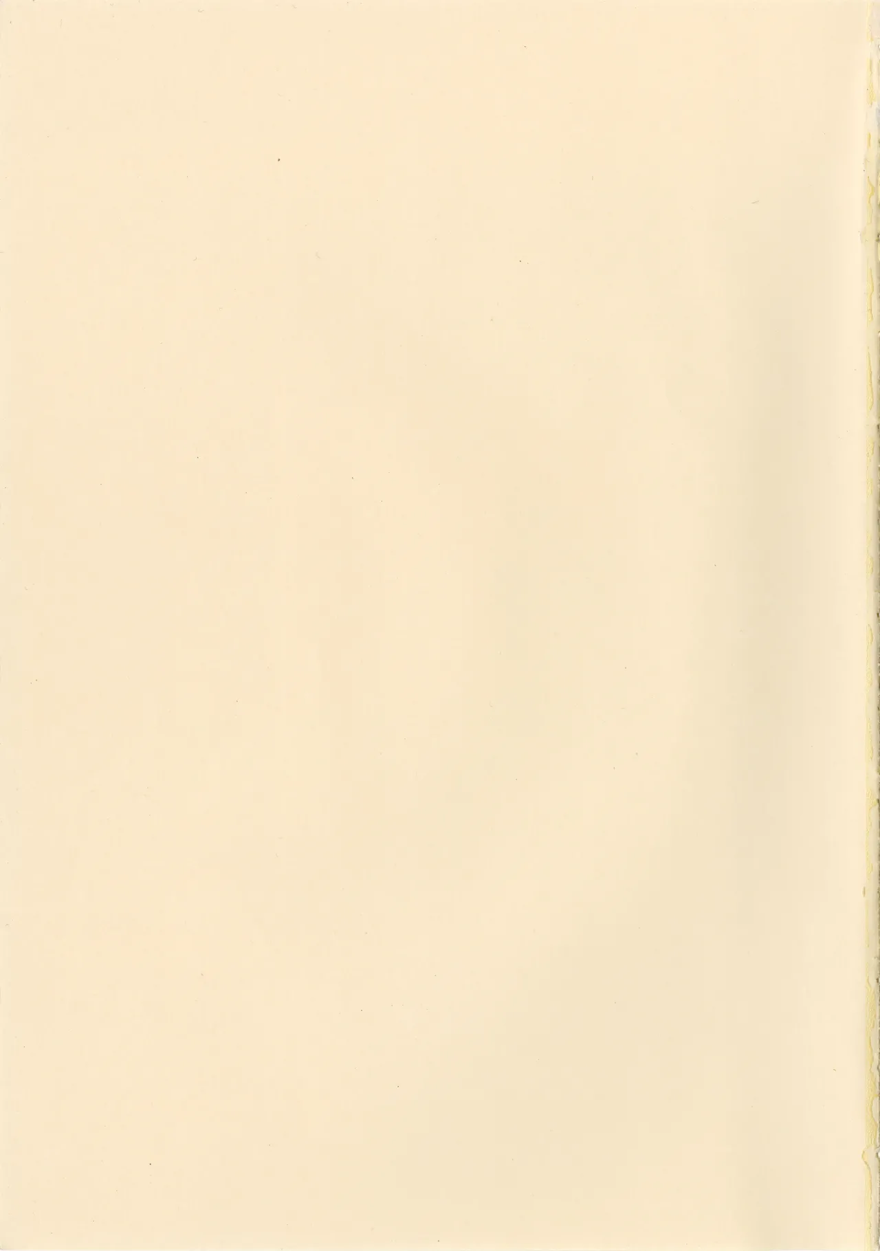 Touhou Shoujo page 3 full