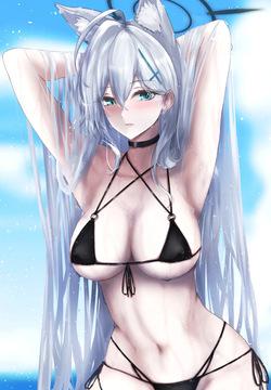 シロコ＊テラーちゃん水着～差分