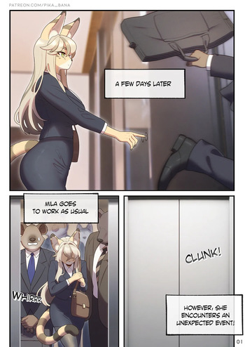 The SEXret Elevator cover