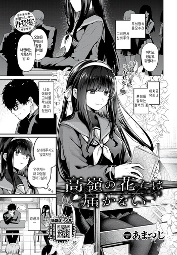 Takane no Hana ni wa Todokanai - She's too perfect-way out my league. cover