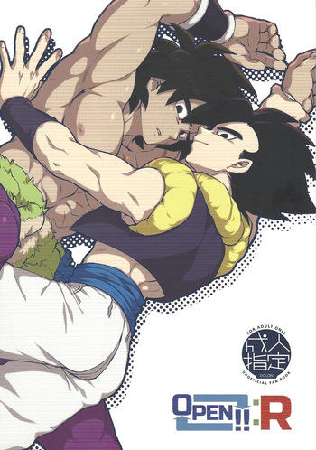 OPEN!!:R cover