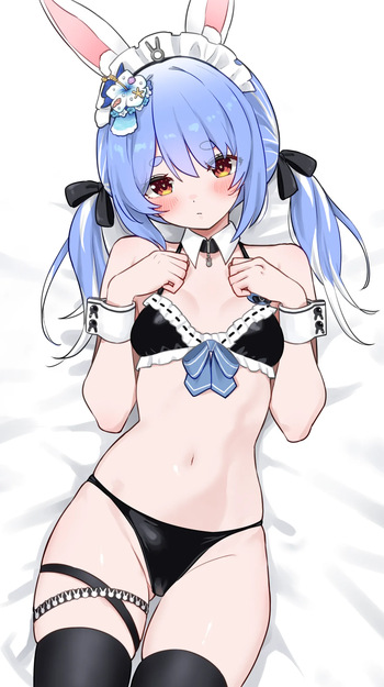 pkrホ〇ナツ水着エプロン&amp;スカートなしver. cover