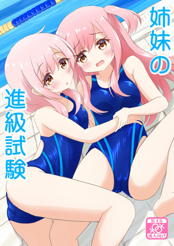 Shimai no Shinkyuu Shinken cover