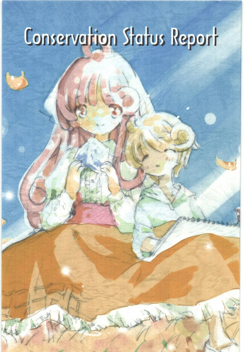Conversation Status Report cover