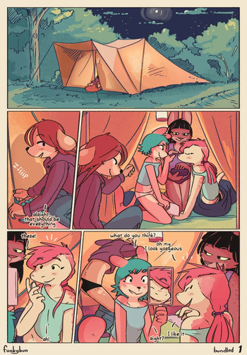 Bundled cover