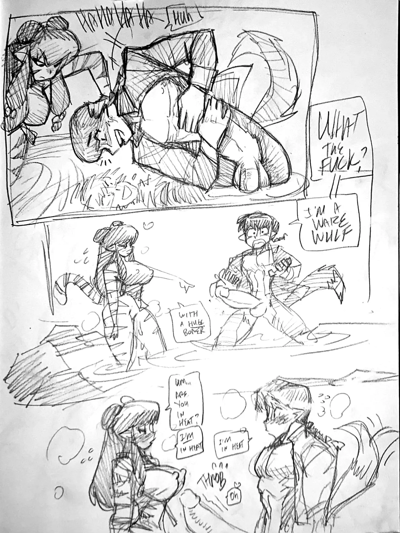 Ranma X Shampoo Goof of page 2 full