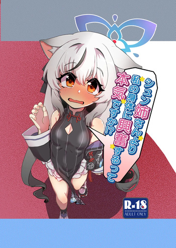 Shun Nee-san Yori Watashi no Karada ni Koufun suru tte Honki desu ka!? cover