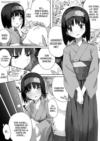 Erika-sama Manga cover
