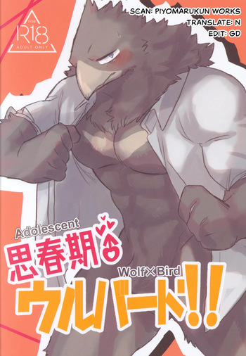 Adolescent Wolf x Bird!! cover