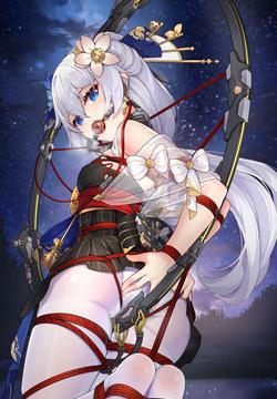 总合辑part2：限定图集 其二