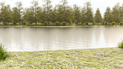 MOTHERVILLAGE Campingday 1.0 -GAME-