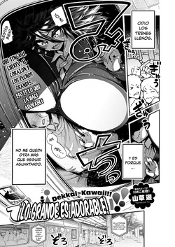 Dekkai wa Kawaii!｜¡Lo Grande es Adorable!