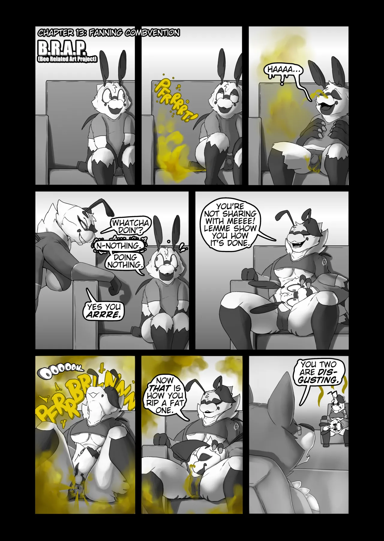 B.R.A.P. : Chapter 13 - Fanning Combvention page 1 full