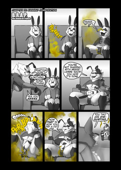 B.R.A.P. : Chapter 13 - Fanning Combvention