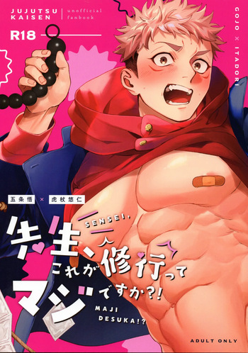 先生、これが修行ってマジですか！？ cover