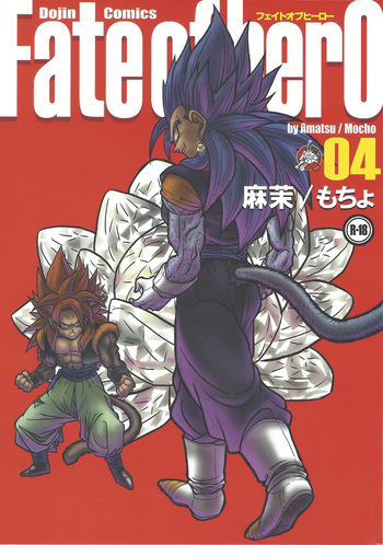 Fate of Hero 04 cover