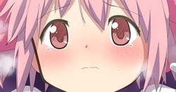 kaname madoka & akemi homura