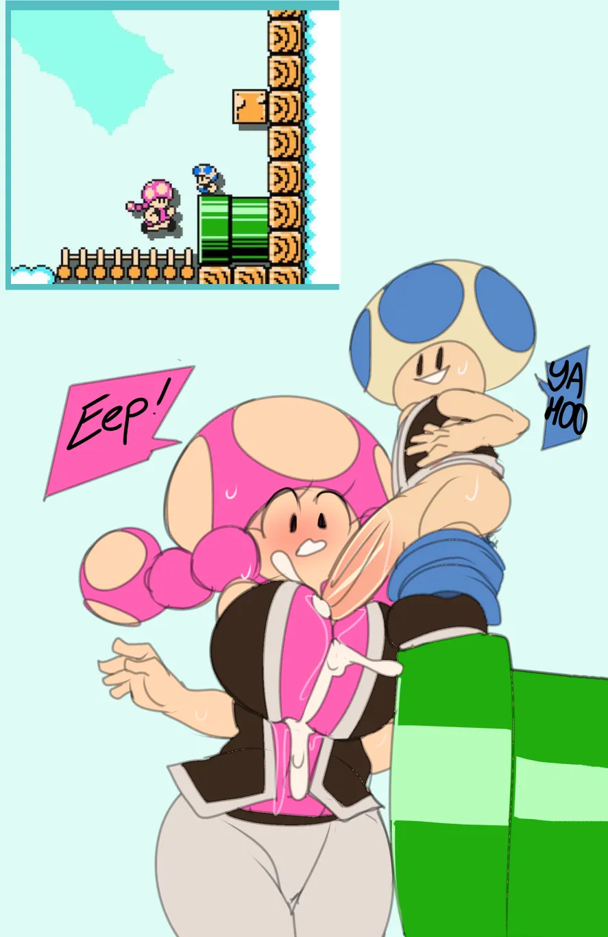 Toadette Sets page 8 full