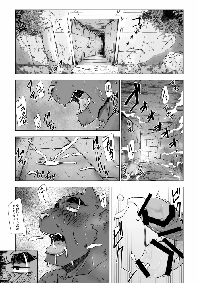 SOLOEXPLORER page 3 full