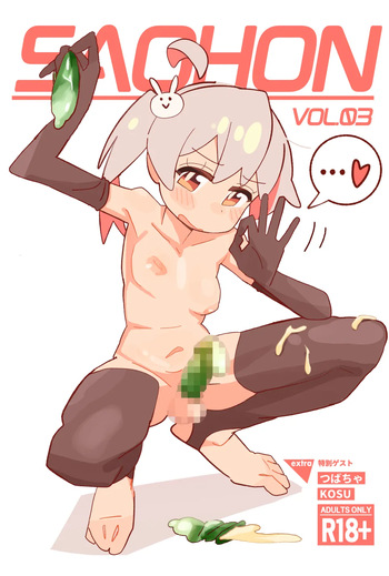 SAOHON 3 cover