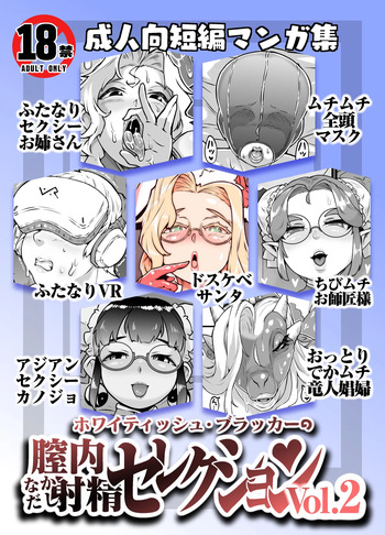 Nakadashi Selection Vol.2 cover