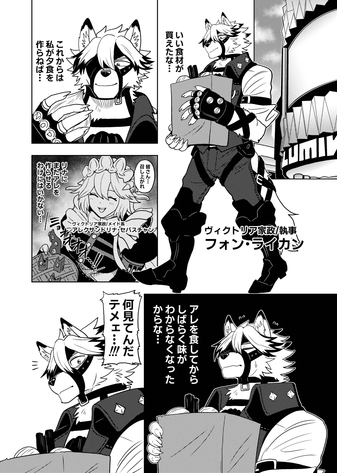 VONRESQUE page 4 full