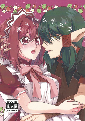 Kimi ni muchuu cover