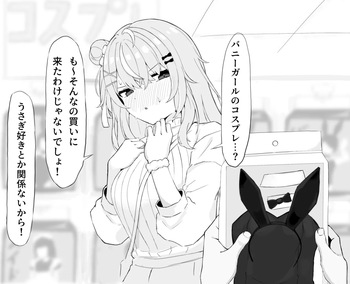 igrsバニーｴﾁ cover